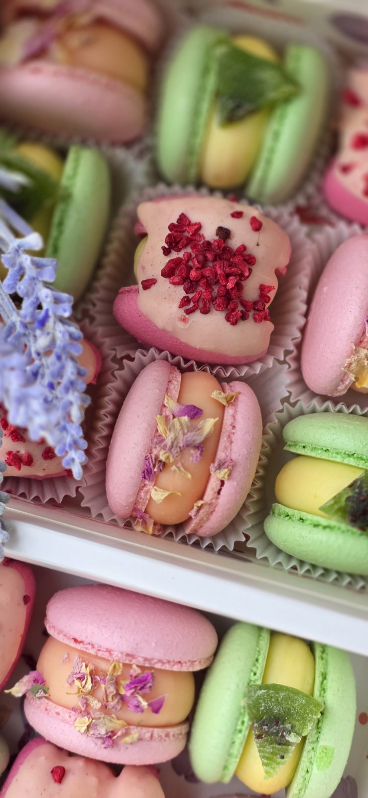 Vanilla Macarons Box thumbnail 2