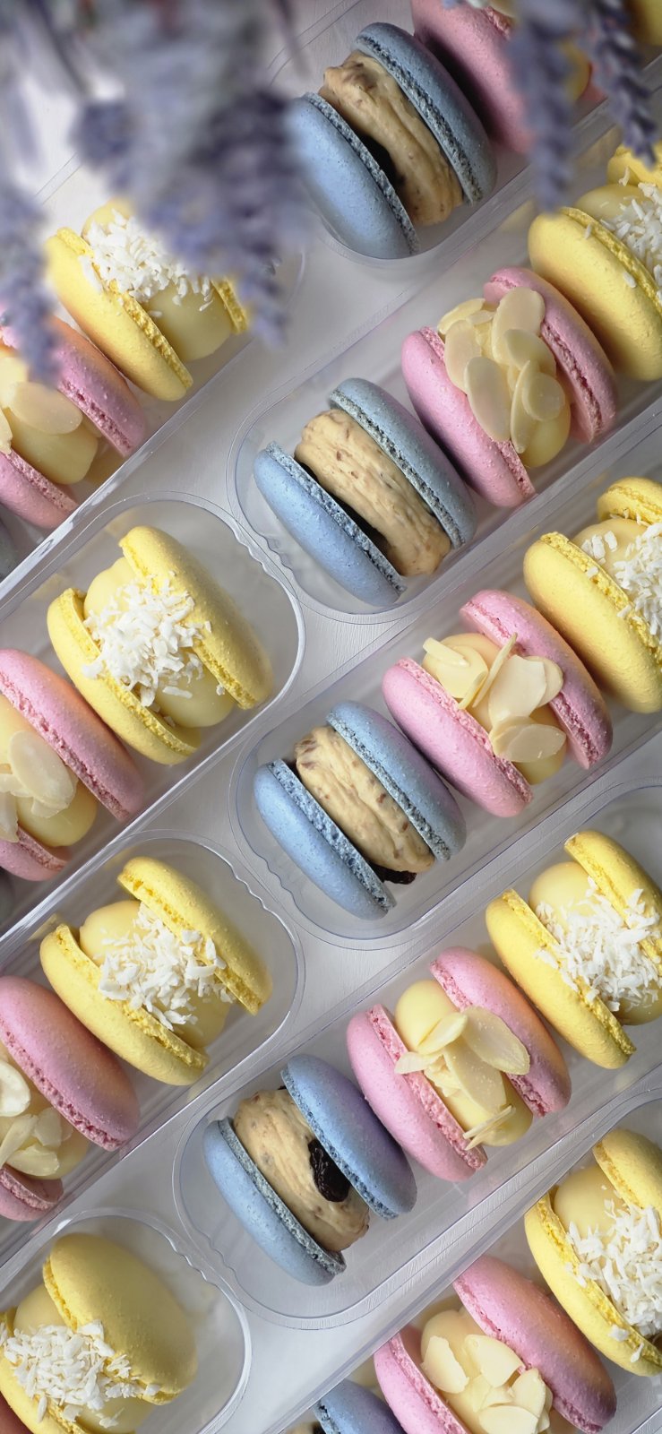 Vanilla Macarons Box thumbnail 3